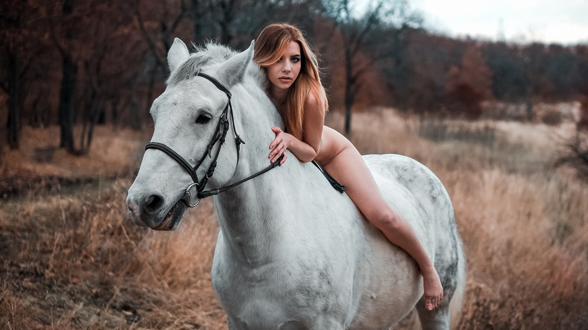 Фото Лошадей С Девушкой Скачать