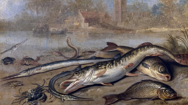 Jan van Kessel the Elder - Fish and landscape. Desktop wallpaper