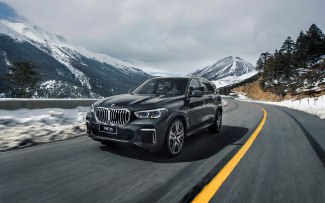 BMW X5 xDrive40Li 2022. Desktop wallpaper