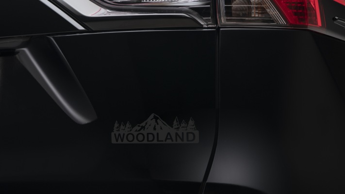 Toyota RAV4 Hybrid Woodland Edition 2023. Desktop wallpaper