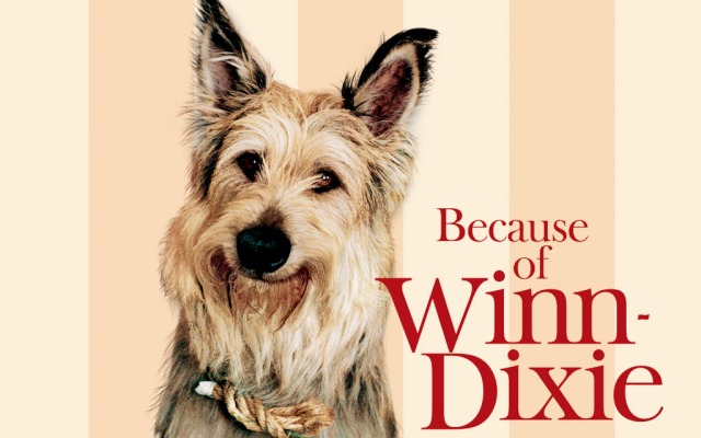 Because of Winn-Dixie. Desktop wallpaper