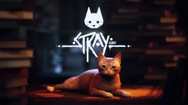 Stray. Desktop wallpaper