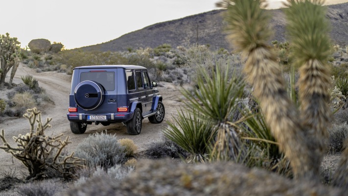 Mercedes-Benz G 500 2025. Desktop wallpaper