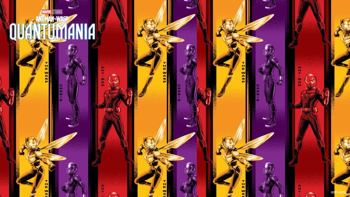 Ant-Man and the Wasp: Quantumania. Desktop wallpaper