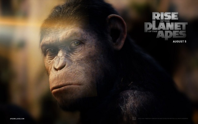 Rise of the Planet of the Apes. Desktop wallpaper