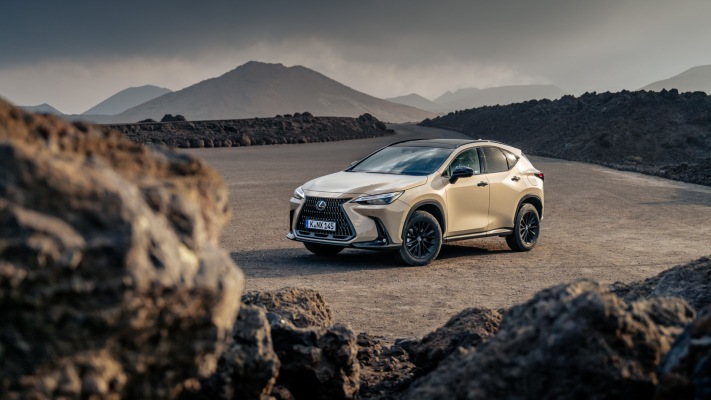 Lexus NX 350h Overtrail 2025. Desktop wallpaper