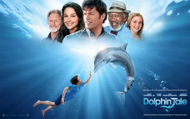 Dolphin Tale. Desktop wallpaper