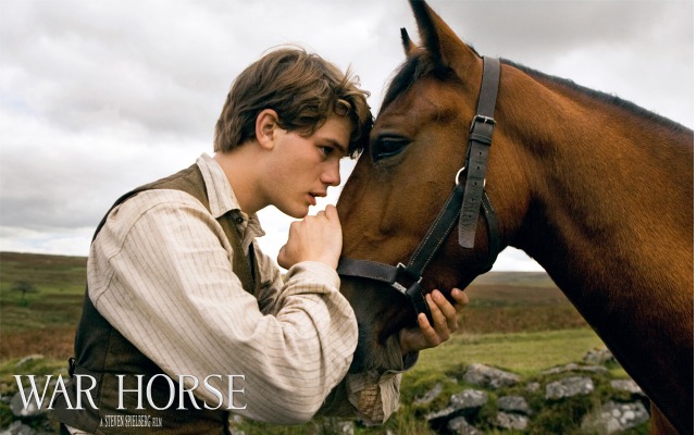 War Horse. Desktop wallpaper