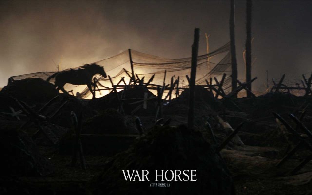 War Horse. Desktop wallpaper