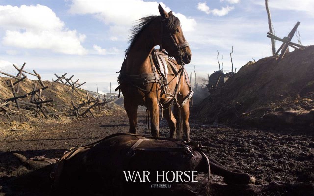 War Horse. Desktop wallpaper