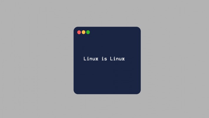 Kali Linux. Desktop wallpaper