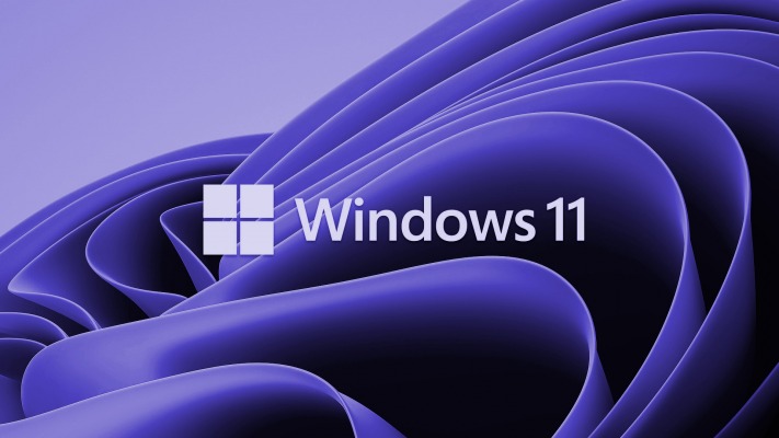 Windows 11. Desktop wallpaper