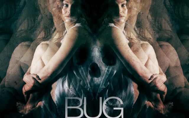 Bug. Desktop wallpaper