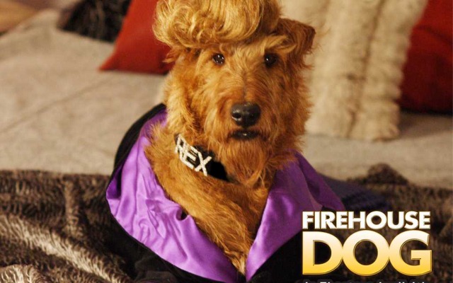 Firehouse Dog. Desktop wallpaper