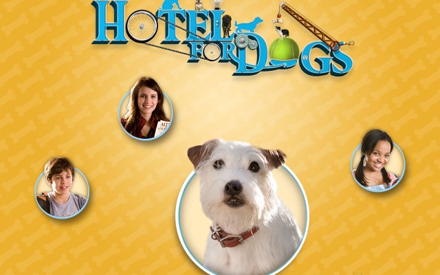 Hotel for Dogs. Desktop wallpaper