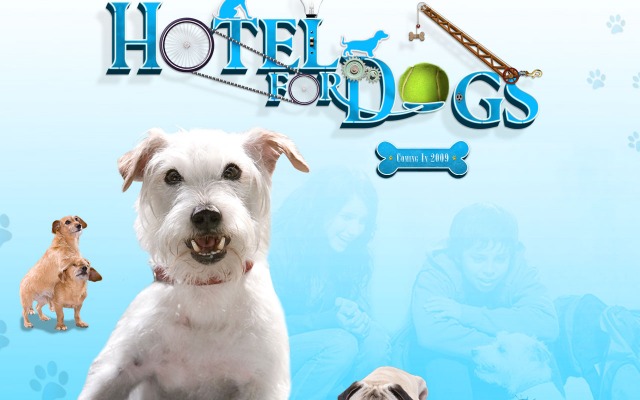 Hotel for Dogs. Desktop wallpaper