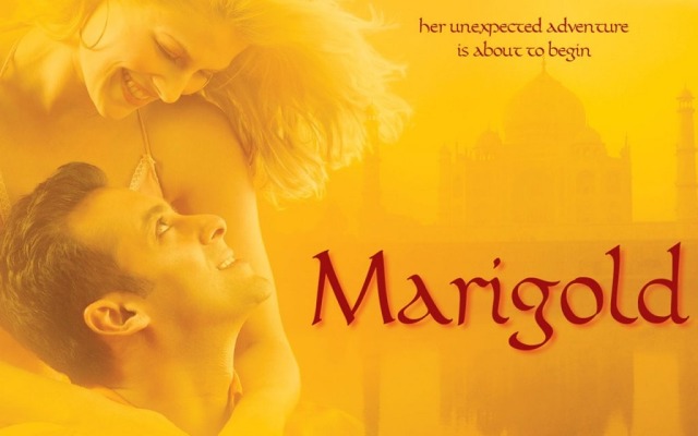 Marigold. Desktop wallpaper