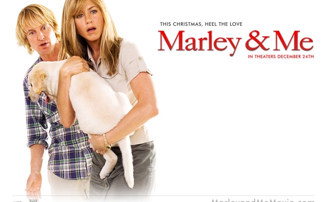 Marley & Me. Desktop wallpaper