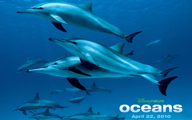 Oceans. Desktop wallpaper
