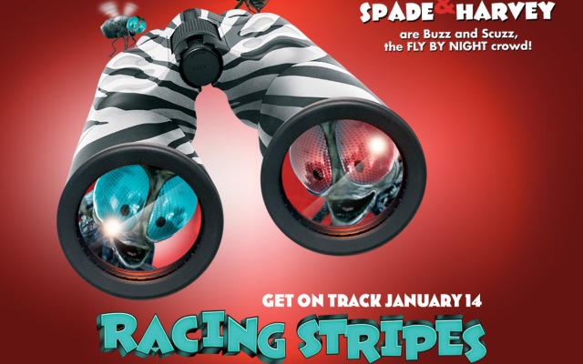 Racing Stripes. Desktop wallpaper