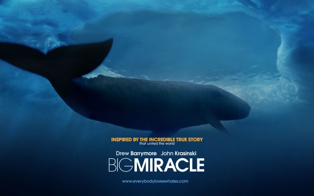 Big Miracle. Desktop wallpaper