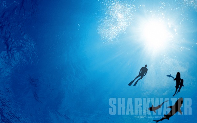 Sharkwater. Desktop wallpaper