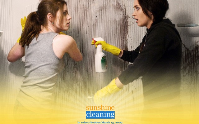 Sunshine Cleaning. Desktop wallpaper