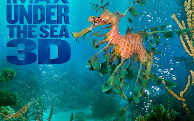 Under the Sea 3D. Desktop wallpaper