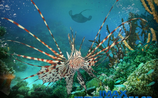 Under the Sea 3D. Desktop wallpaper