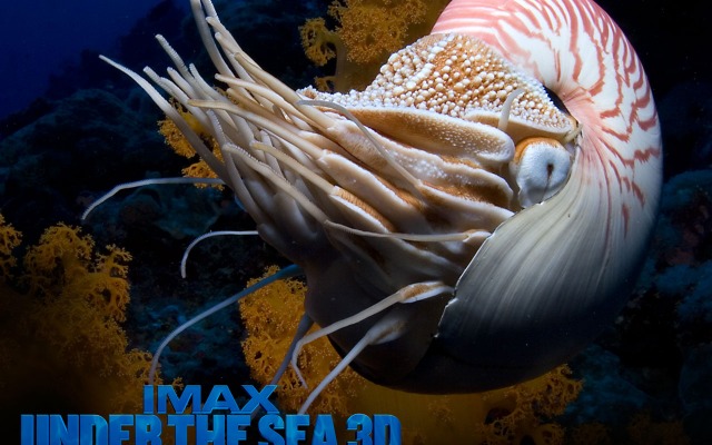 Under the Sea 3D. Desktop wallpaper