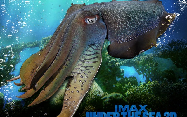 Under the Sea 3D. Desktop wallpaper