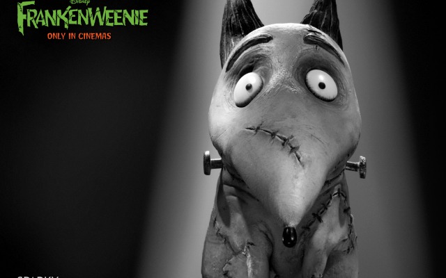 Frankenweenie. Desktop wallpaper