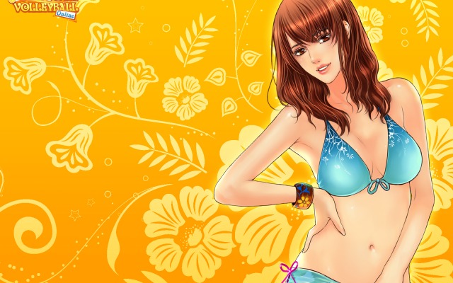 Beach Volleyball Online. Desktop wallpaper