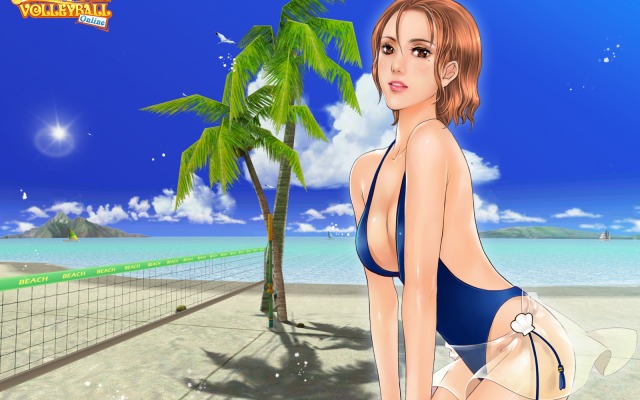 Beach Volleyball Online. Desktop wallpaper