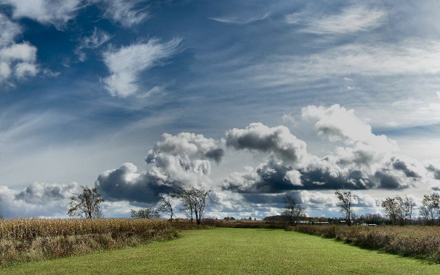 Nature. Desktop wallpaper