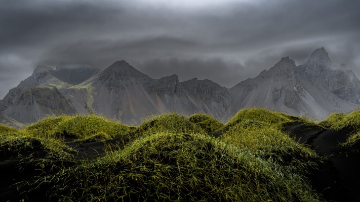 Nature. Desktop wallpaper