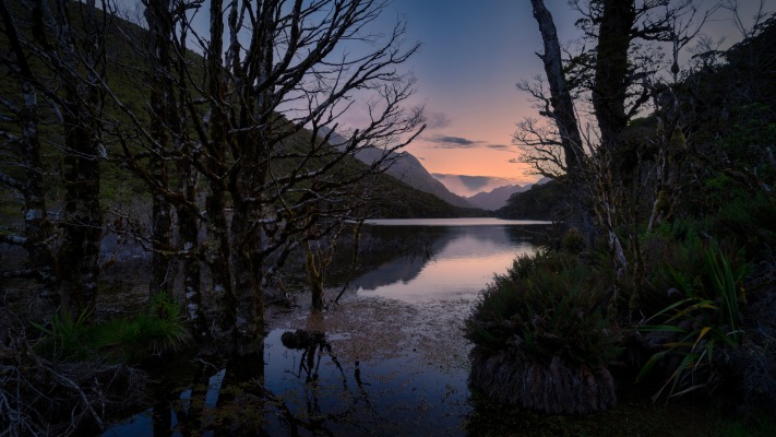 Nature. Desktop wallpaper