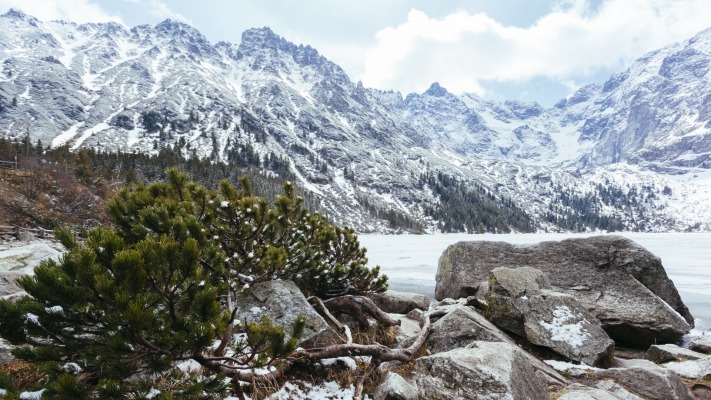 Nature. Desktop wallpaper