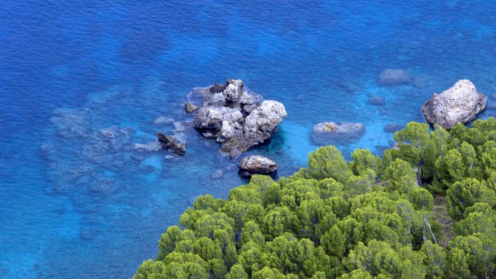 Nature. Desktop wallpaper