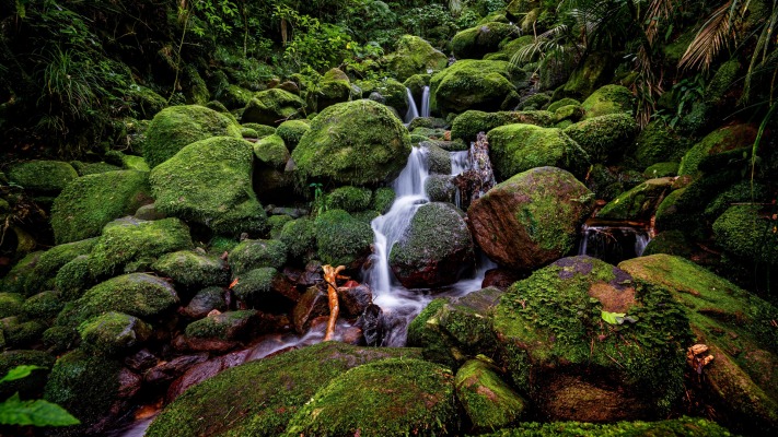 Nature. Desktop wallpaper