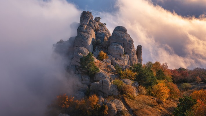 Nature. Desktop wallpaper