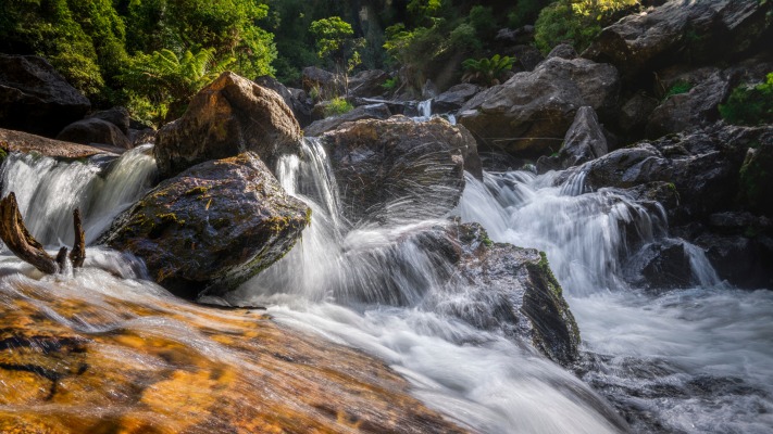 Nature. Desktop wallpaper