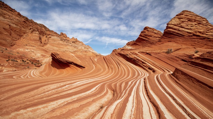 Nature. Desktop wallpaper