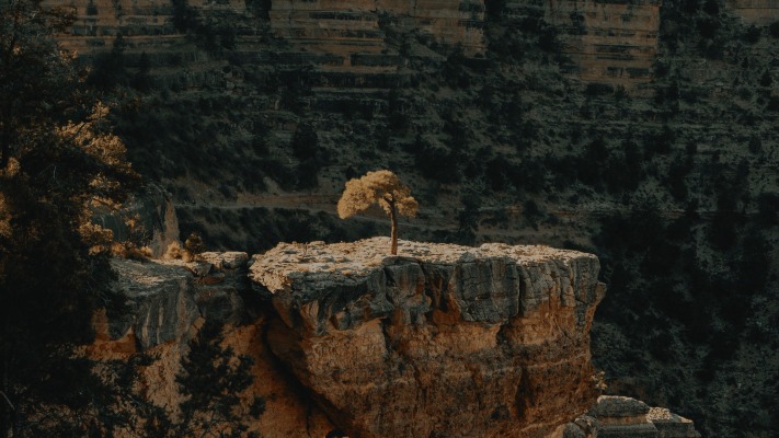 Nature. Desktop wallpaper