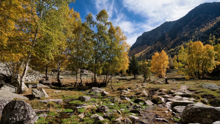 Nature. Desktop wallpaper