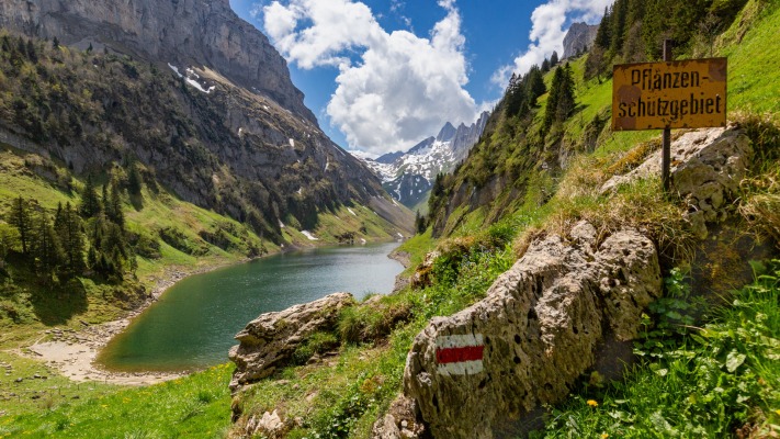 Nature. Desktop wallpaper