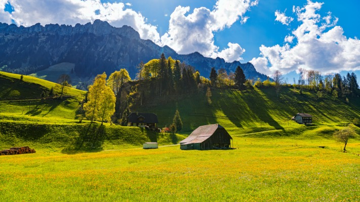 Nature. Desktop wallpaper