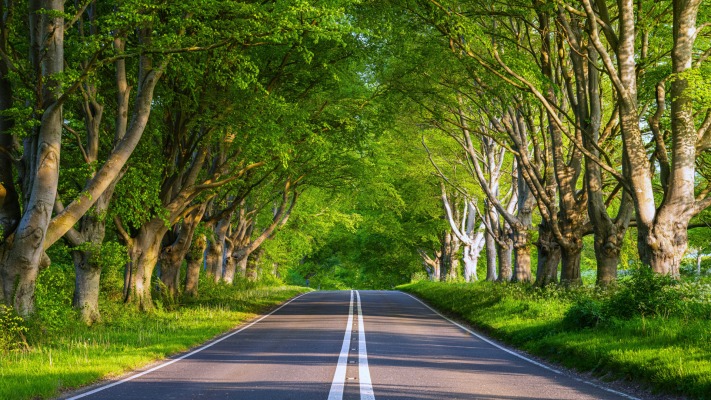 Nature. Desktop wallpaper