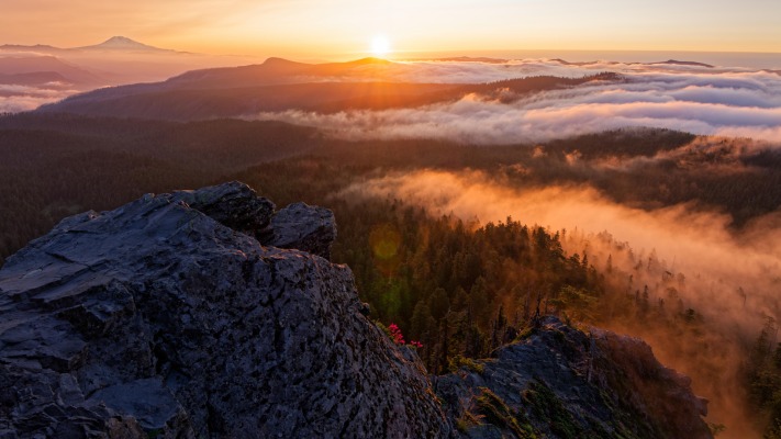 Nature. Desktop wallpaper