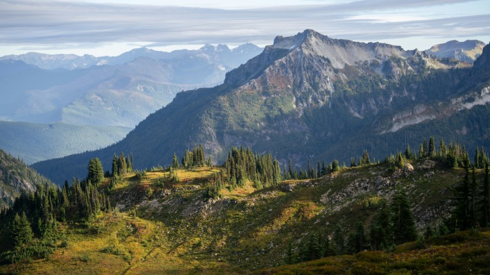 Nature. Desktop wallpaper